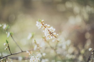 【更新7位】七位企鹅Q靓号，可登录，可换帮，无脸